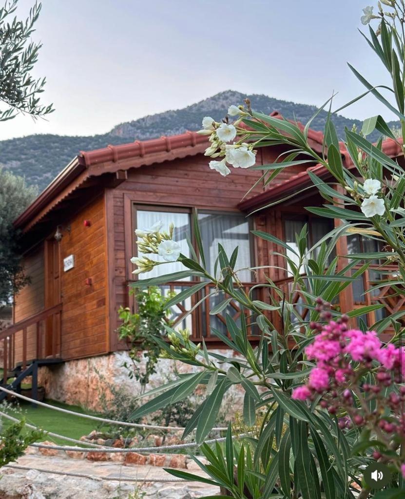 Doganin Ruhu Hotel & Bungalow Kaş Ngoại thất bức ảnh