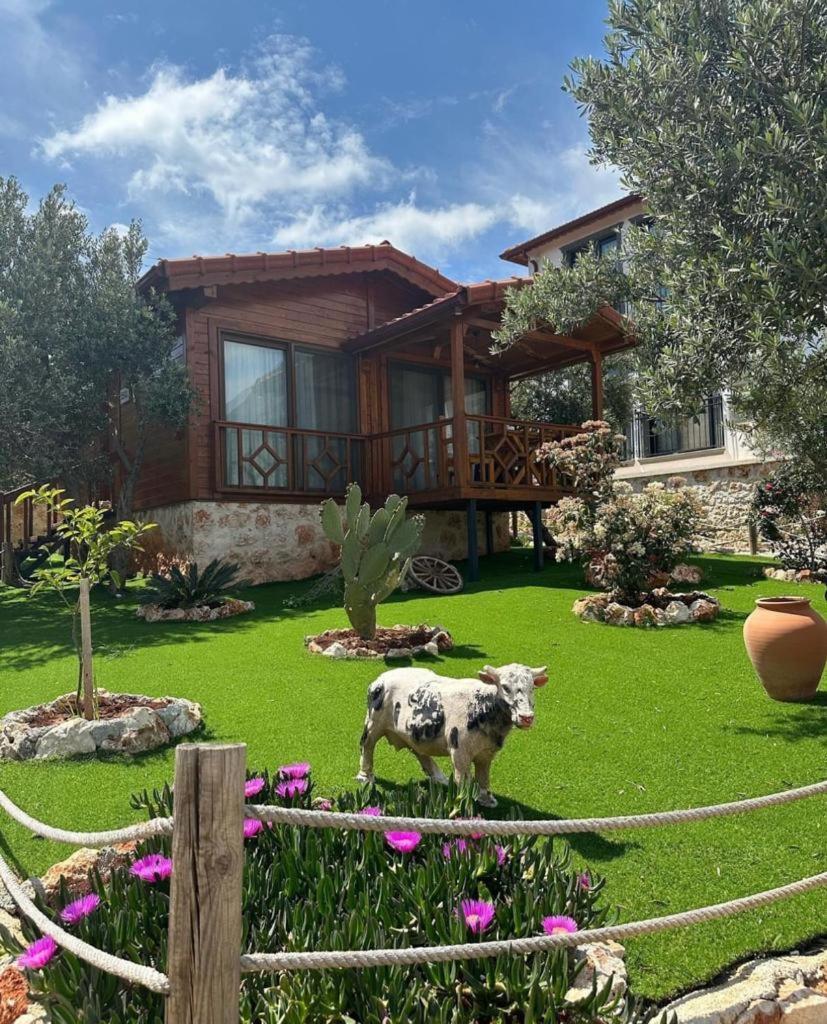 Doganin Ruhu Hotel & Bungalow Kaş Ngoại thất bức ảnh