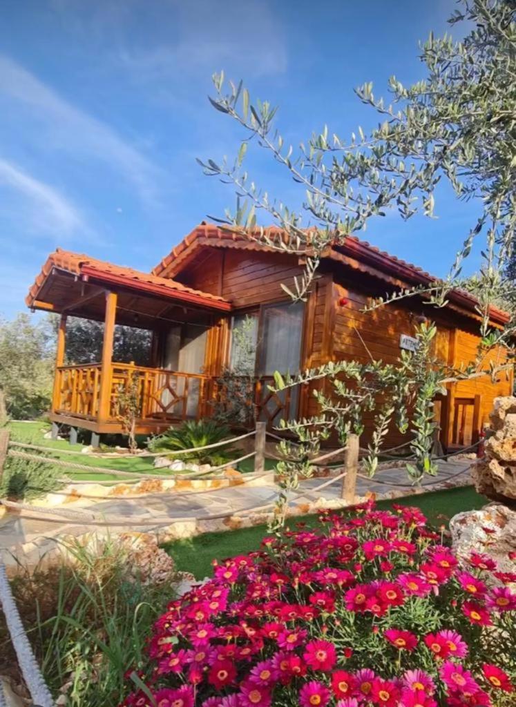 Doganin Ruhu Hotel & Bungalow Kaş Ngoại thất bức ảnh