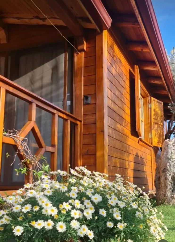 Doganin Ruhu Hotel & Bungalow Kaş Ngoại thất bức ảnh